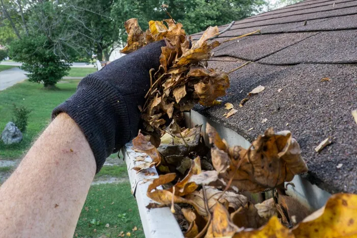 Gutter Cleaning