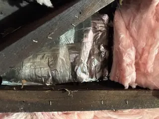 Expert Attic and Roof Gutter Cleaning in Plainfield, NJ Reliable Attic Cleaning