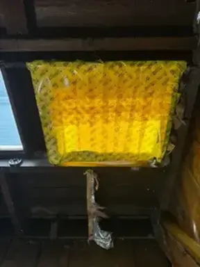 Professional Attic and Roof Gutter Cleaning Services in Plainfield, NJ Attic and Roof Gutter Cleaning in Plainfield, NJ